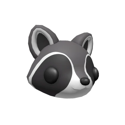 Raccoon Head