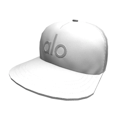 District Trucker Hat - Alo Official