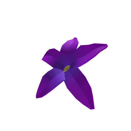  [RIGHT] Single nightshade flower on head