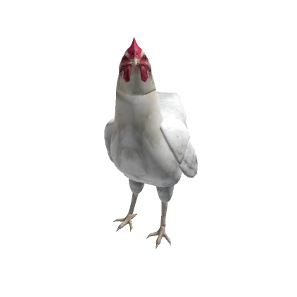 Chicken Avatar (White)