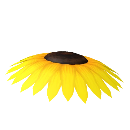 Big Sunflower Hat