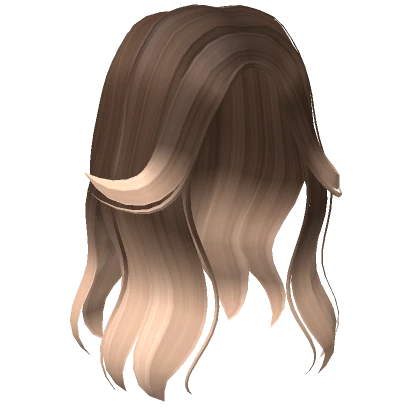 Aesthetic Split Bangs Hair in Brown to Blonde 