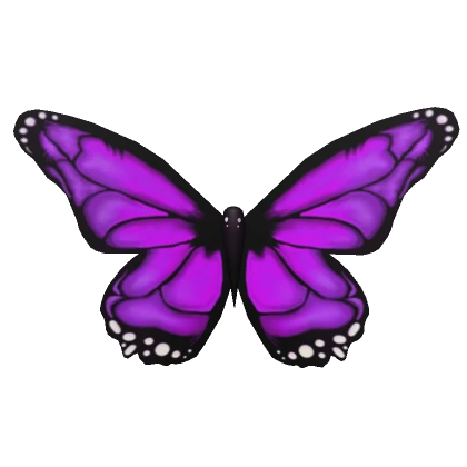 Giant Purple Butterfly Wings