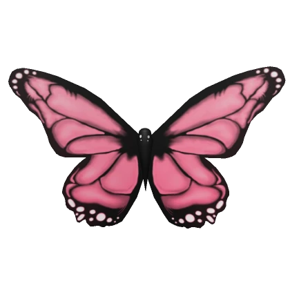 Giant Pink Butterfly Wings