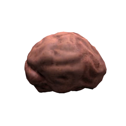 Brain Head