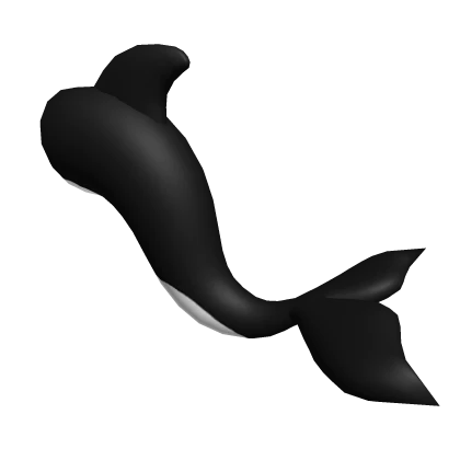 Orca Killer Whale Tail