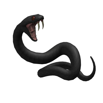 Venomous Black Snake