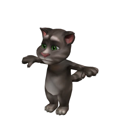 Talking Tom suit