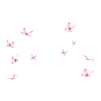 🦋 Pink Butterflies