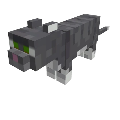  Mini Grey Cat Suit