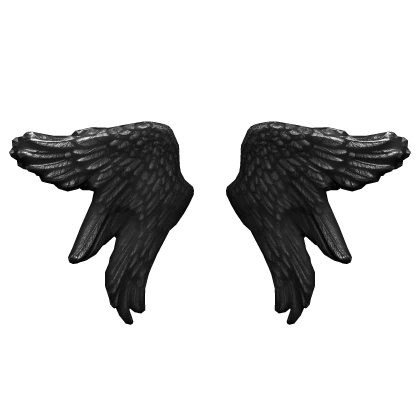 Black Voided Seraphim Angel Wings