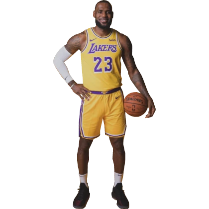 Lebron Cutout