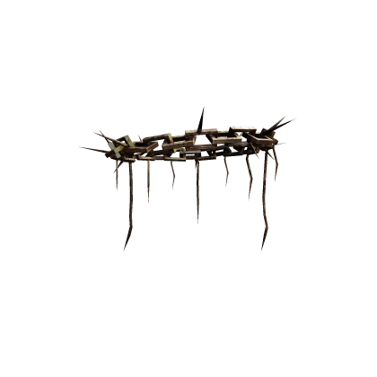 Jesus Crown of Thorns