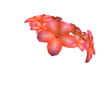 Roblox Learn Plumera Crown