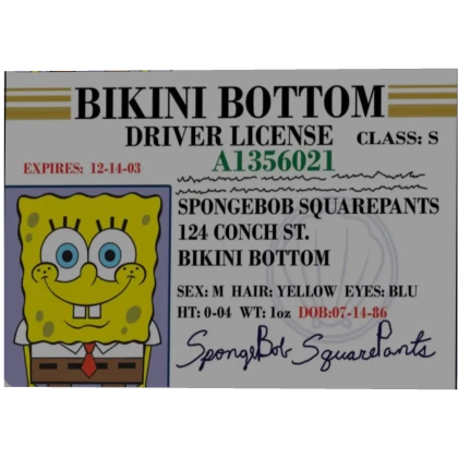 Spongebob Drivers License