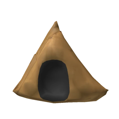 Samosa Head