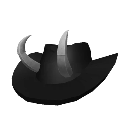 Grey Horns Cowgirl Hat