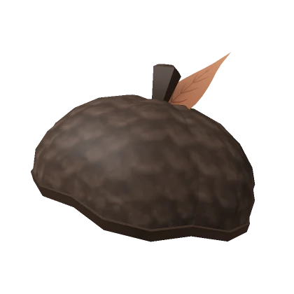 Acorn Beret