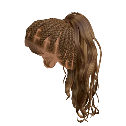 Ponytail Boho Braids [Brown & Blonde]
