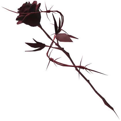 Maroon Rose