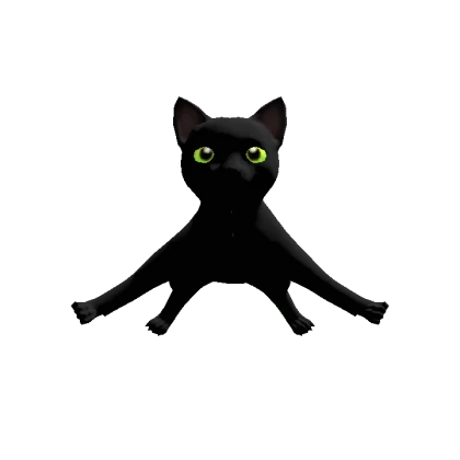 Black Floating Cat