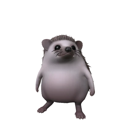 cute chubby hedgehog