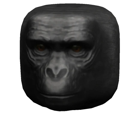 Monkey Head