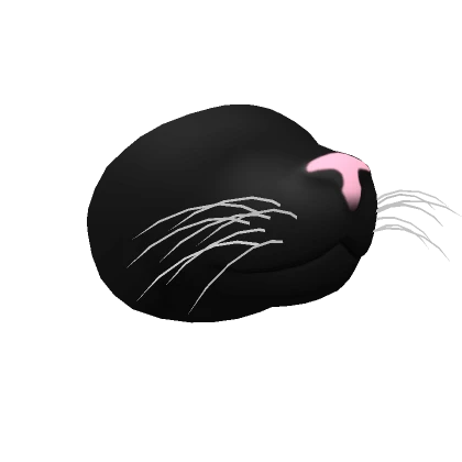 Pink Nose Black Cat Snout