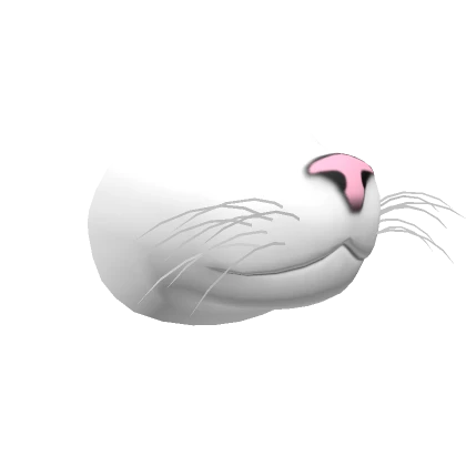 Pink Nose White Cat Snout