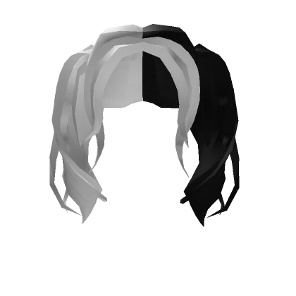  Black and White hair with pigtails