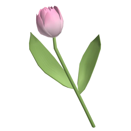  ♡ Large cute pink tulip flower at back 🌷