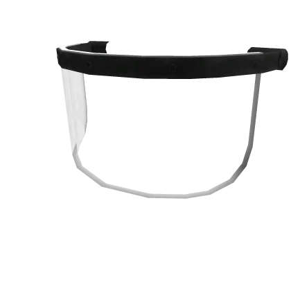 AN-95 Visor [Down]