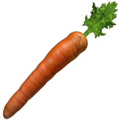 Carrot