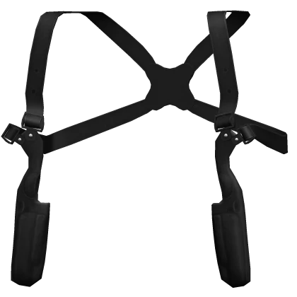 Black Holster