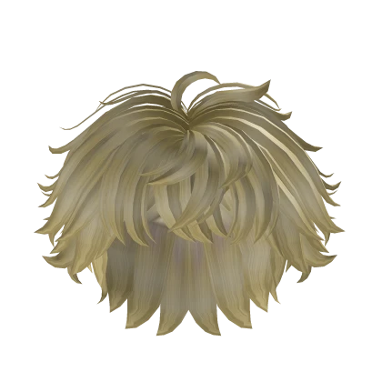 Blonde Boy Hair