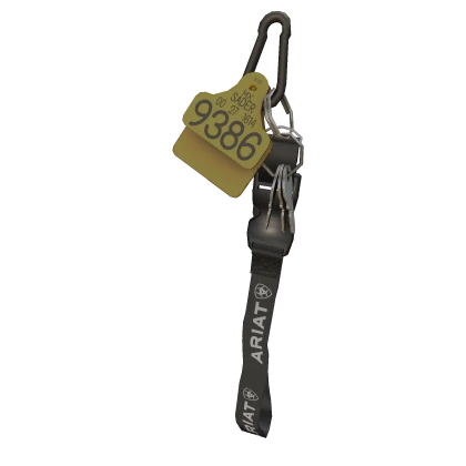 Cowboy Lanyard
