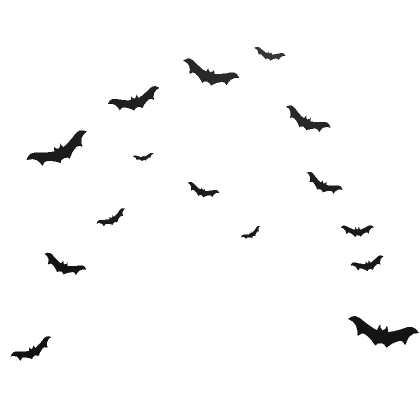 Bat Confetti