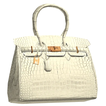 Crocodile Birkin Chic Designer Bag 