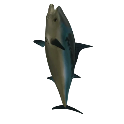 Realistic Fish Suit