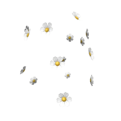 Daisy Hair Adornments