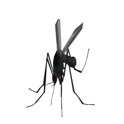 Very Tiny Mosquito 🦟 