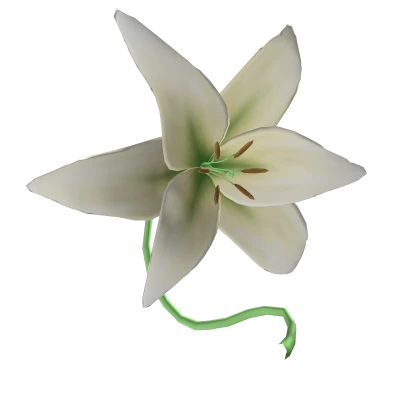 White flower parasol