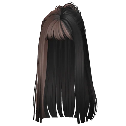 teddy brown to black split ombre wispy half bun