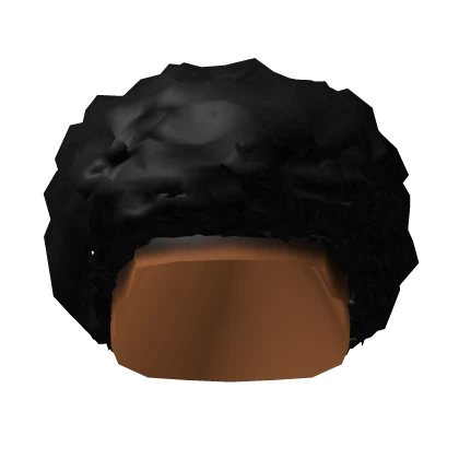 Picked-Out Black Curly Afro