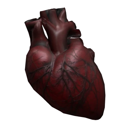 Realistic Heart Waist