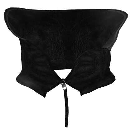 Avant Garde Waxed Leather Black Collar