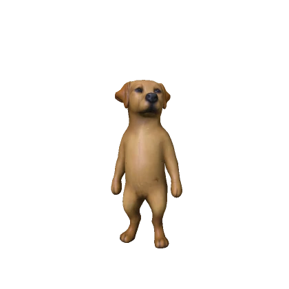 Baby Labrador Dog 🐶