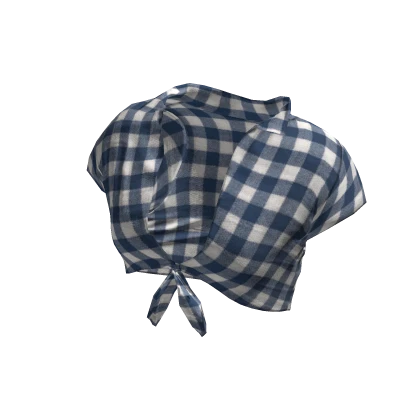 ☆ 2000s Blue Gingham Knotted Tied Crop Top