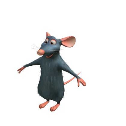 Remy Suit