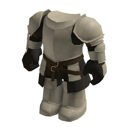 Royal Knight Armor Suit